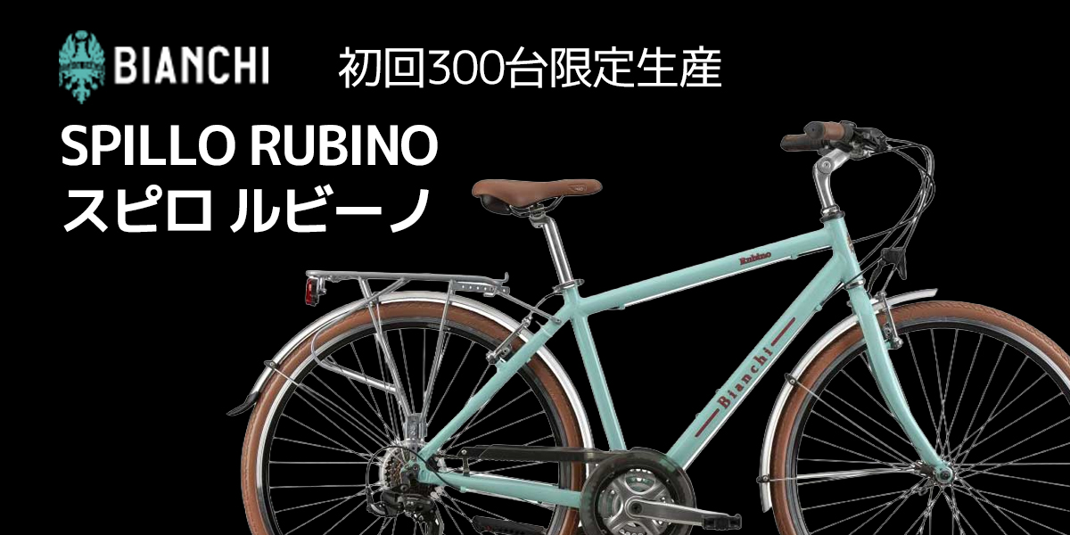 Bianchi限定モデル